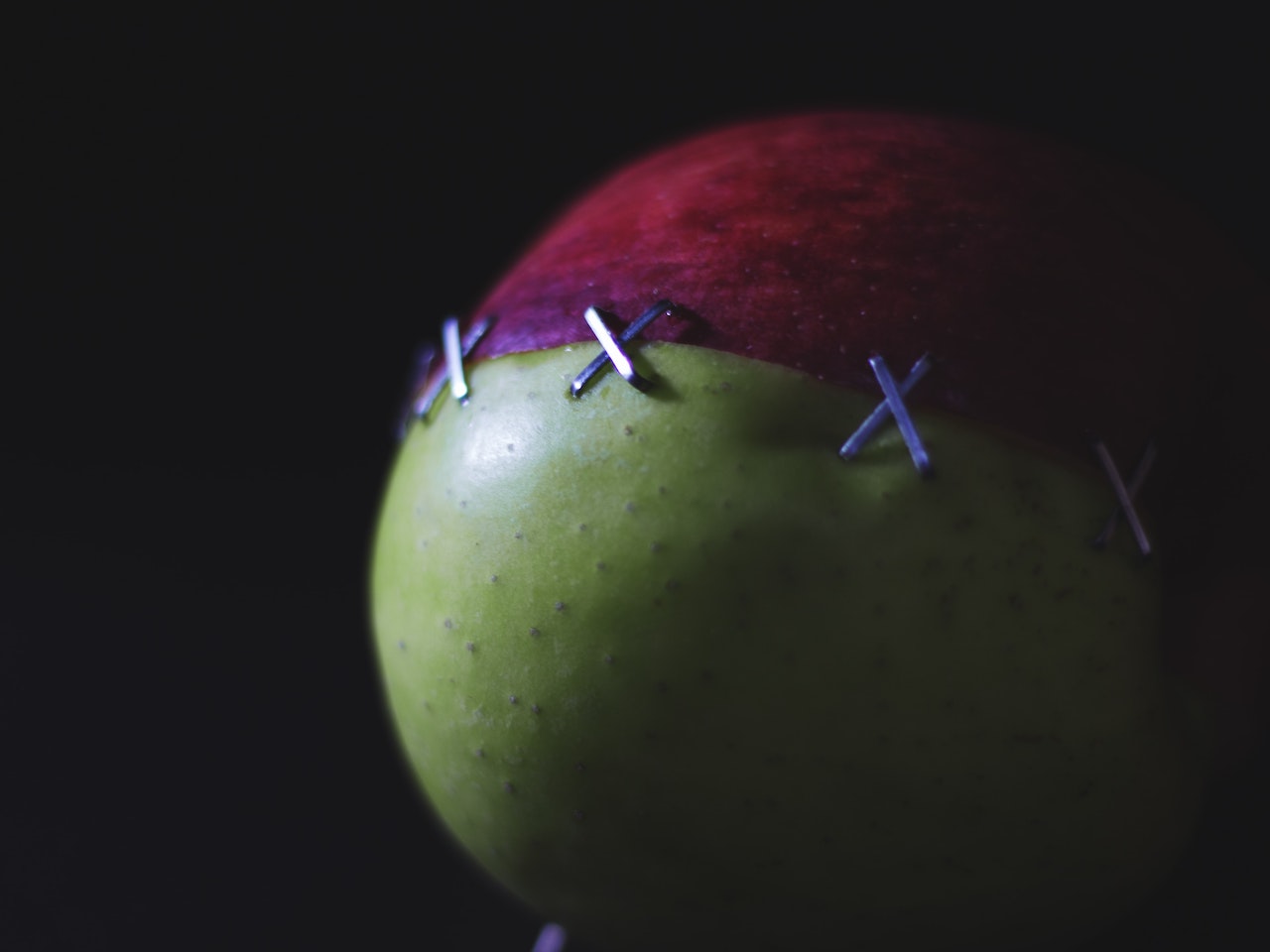 red and green apple fruit