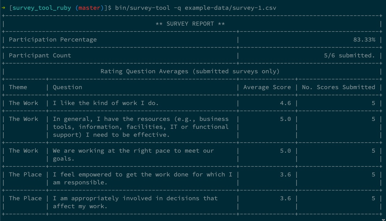 Screenshot of the survey tool implementation done in Ruby